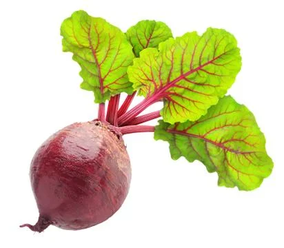 Beetroot Stock Photos