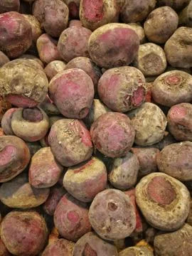 BEETROOT Stock Photos