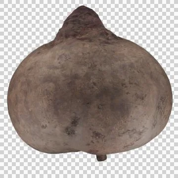 Beetroot Stock Photos