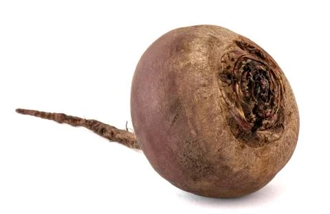 Beetroot with root tail on white background Stock Photos