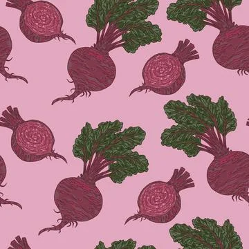Beetroot. Seamless Pattern. This vintage illustration is hand-drawn in a sket Stockillustratie