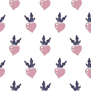 Beetroot seamless vector pattern on white background. 스톡 일러스트