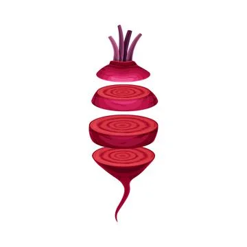 Beetroot slices lying in vertical row. Healthy organic vegetable vector Illustrazione stock