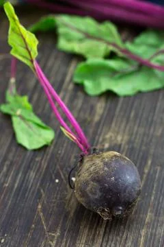 Beetroot with stalk and leaves Foto stock