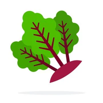 Beetroot stems with leaves flat isolated 스톡 일러스트