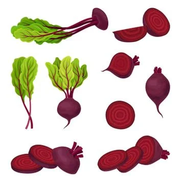 Beetroot with Top Leaves and Half of Beet Vector Set Illustrazione stock