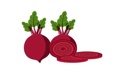 Beetroot Vector Design And Illustration. Stock Illustration