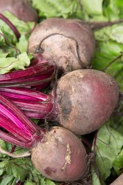 Beetroot Vegetable Background Foto stock
