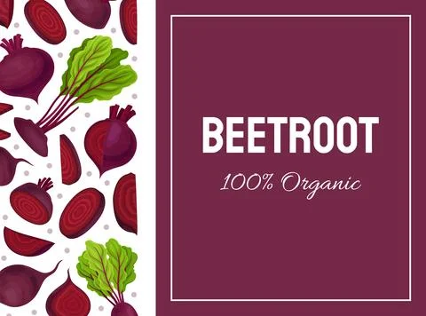Beetroot Vegetable Crop Banner Design Design Vector Template Stock Illustration