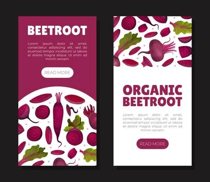 Beetroot Vegetable Crop Banner Design Design Vector Template Stock Illustration