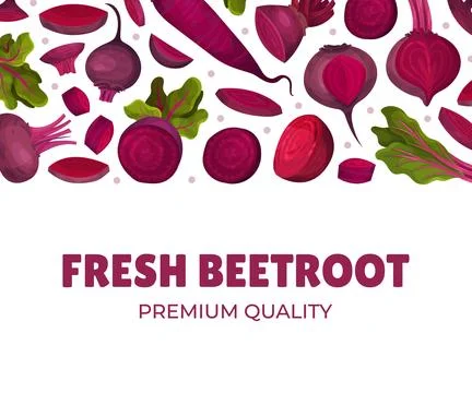Beetroot Vegetable Crop Banner Design Design Vector Template Stock Illustration