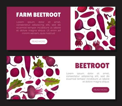 Beetroot Vegetable Crop Banner Design Design Vector Template Stock Illustration
