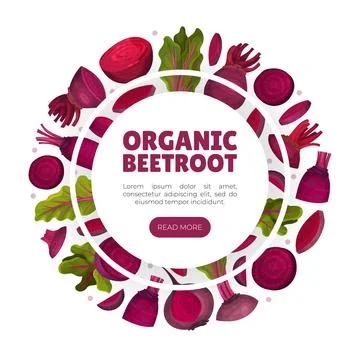 Beetroot Vegetable Crop Banner Design Design Vector Template Stock-Illustration