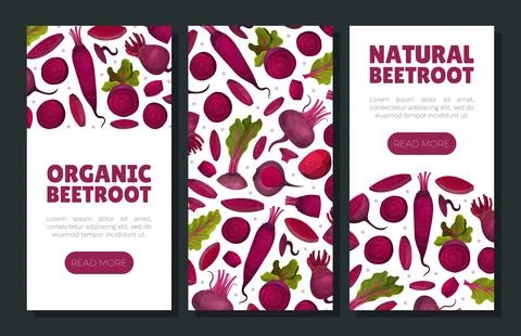 Beetroot Vegetable Crop Banner Design Design Vector Template Stock-Illustration