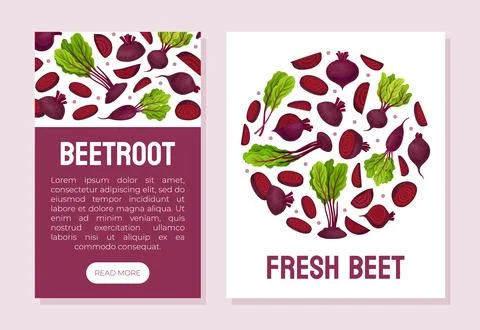 Beetroot Vegetable Crop Banner Design Design Vector Template Stock Illustration