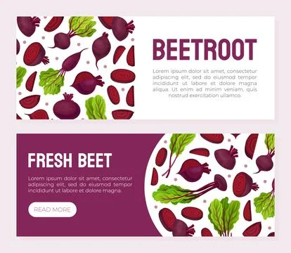 Beetroot Vegetable Crop Banner Design Design Vector Template Stock Illustration
