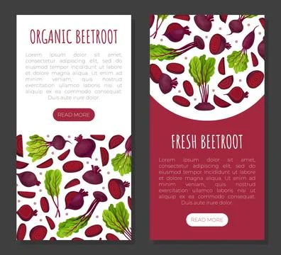 Beetroot Vegetable Crop Banner Design Design Vector Template Stock-Illustration