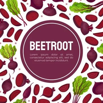 Beetroot Vegetable Crop Banner Design Design Vector Template Stock Illustration