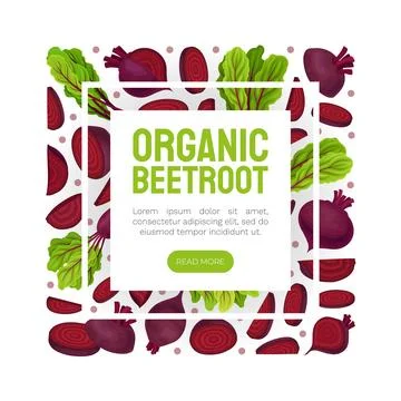 Beetroot Vegetable Crop Banner Design Design Vector Template Stock-Illustration