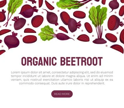 Beetroot Vegetable Crop Banner Design Design Vector Template Stock Illustration