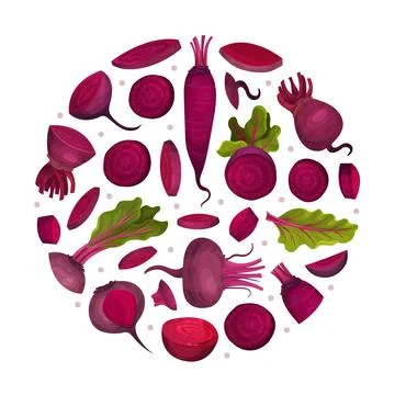 Beetroot Vegetable Crop Round Composition Design Vector Template Stock-Illustration