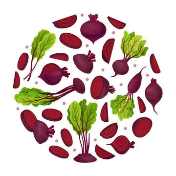 Beetroot Vegetable Crop Round Composition Design Vector Template Stock Illustration