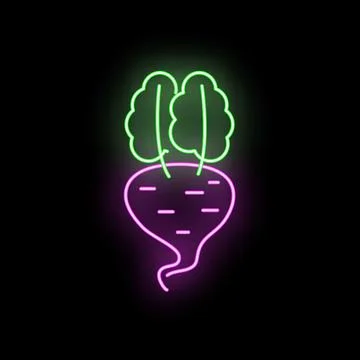 Beetroot vegetable glowing neon signage icon on black イラスト素材