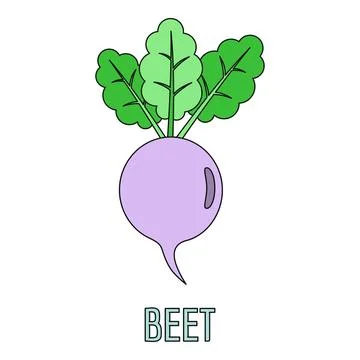 Beetroot vegetable with green leaves cartoon illustration Stock Illustration