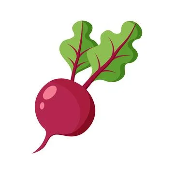 Beetroot vegetable with leaves icon in flat style. Beet plant vector illust.. Stock Illustration