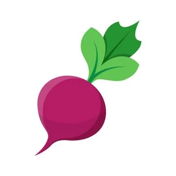 Beetroot vegetable with leaves icon in flat style. Beet plant vector illust.. Stock Illustration