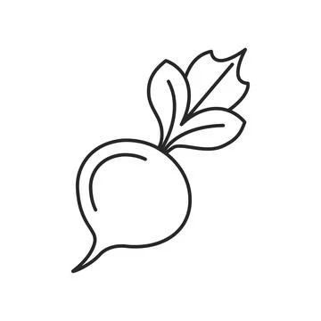 Beetroot vegetable with leaves icon in flat style. Beet plant vector illust.. イラスト素材