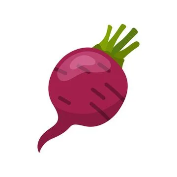 Beetroot vegetable with leaves icon in flat style. Beet plant vector illust.. Stock Illustration