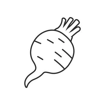 Beetroot vegetable with leaves icon in flat style. Beet plant vector illust.. Stock Illustration