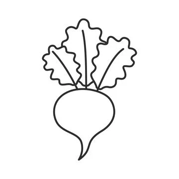 Beetroot vegetable with leaves icon in flat style. Beet plant vector illust.. Stock Illustration