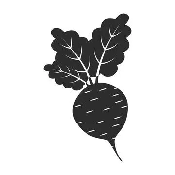 Beetroot vegetable with leaves icon in flat style. Beet plant vector illust.. Stock Illustration