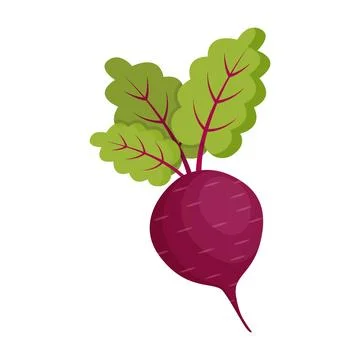 Beetroot vegetable with leaves icon in flat style. Beet plant vector illust.. Stock Illustration