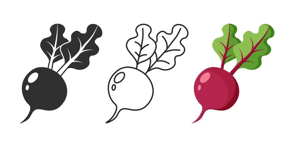 Beetroot vegetable with leaves icon set collection in flat style. Beet plan.. Stock Illustration