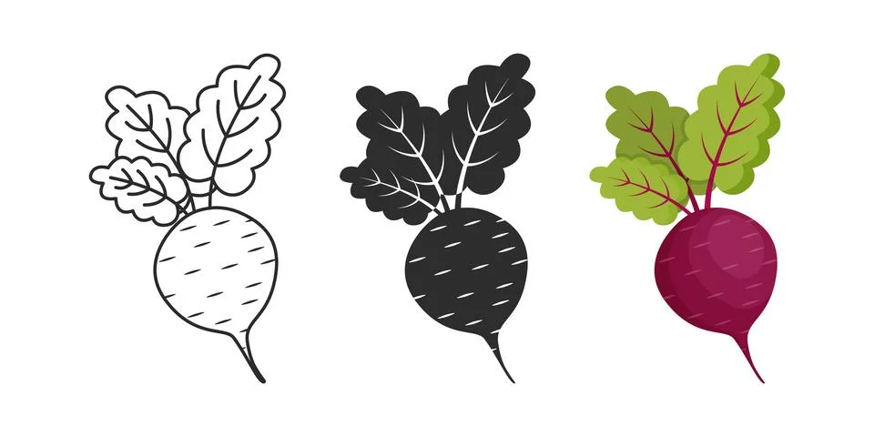 Beetroot vegetable with leaves icon set collection in flat style. Beet plan.. Stock Illustration