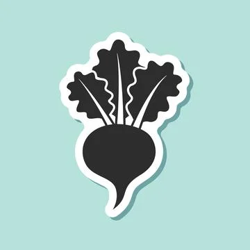 Beetroot vegetable with leaves sticker icon in flat style. Beet plant vecto.. Stock Illustration