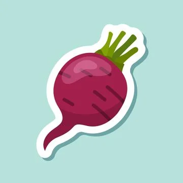 Beetroot vegetable with leaves sticker icon in flat style. Beet plant vecto.. Stock Illustration