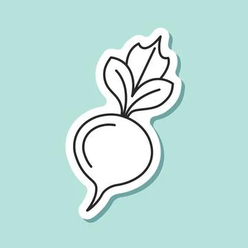 Beetroot vegetable with leaves sticker icon in flat style. Beet plant vecto.. Stock Illustration
