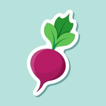 Beetroot vegetable with leaves sticker icon in flat style. Beet plant vecto.. Stock Illustration