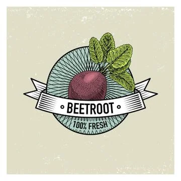 Beetroot Vintage set of labels, emblems or logo for vegeterian food, vegetables Stock Illustration