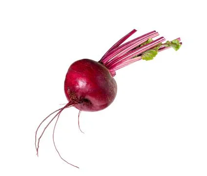 Beetroot on white Stock Photos
