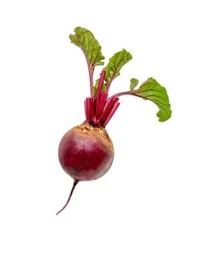 Beetroot on white Stock Photos