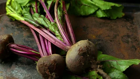 Beetroots with green haulm on the black rustic background. Stock Footage 137739161