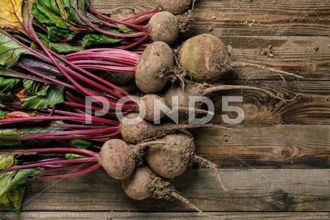 Beetroots with green leaves Stock Photos