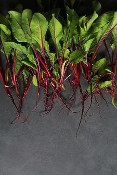 Beetroots Foto stock