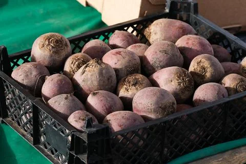 Beetroots Foto stock