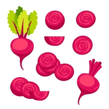 Beetroots set. Fresh red beetroot slices and leaves on white background Illustrazione stock
